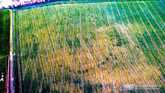 Dronehenge at Newgrange has become visible again