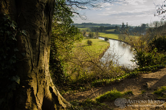 The Great Silver Yoke of the Boyne turns south at Townleyhall, overlooked by this wonderful viewing point
