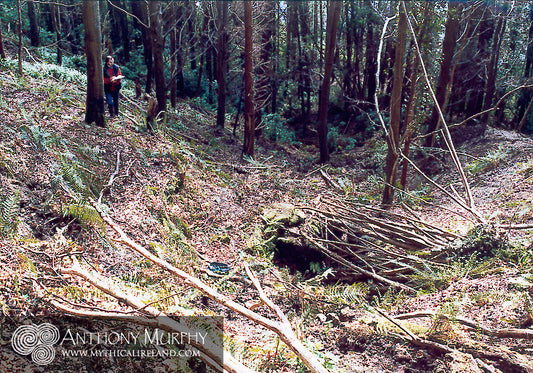 Mystery site - possible monument in heart of the Boyne Valley discovered by artist Richard Moore in 1999