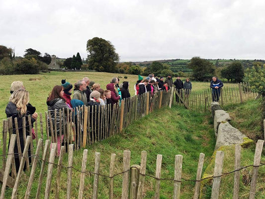 Mythical Ireland tour of the archaeology, mythology and history of Dowth
