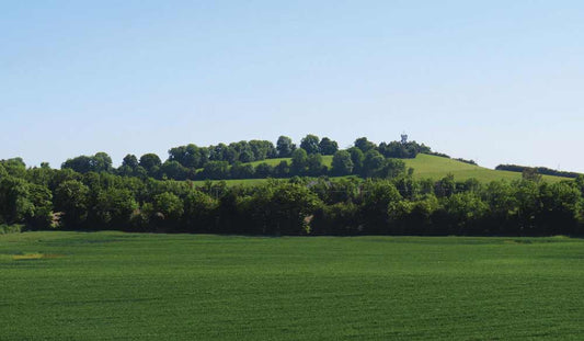 Gigantic Neolithic enclosure discovered around Meath hill where Niall of the Nine Hostages is reputedly buried