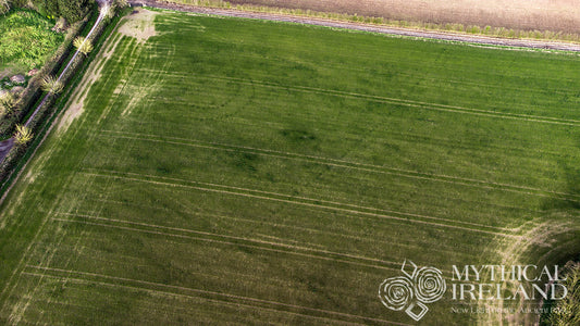 Dronehenge, Great Palisade, Four Poster, LP2 henge all visible again at Newgrange Farm