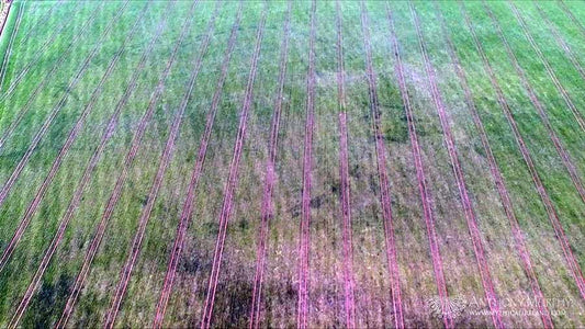 Video: Dronehenge and other archaeology visible again at Newgrange Farm