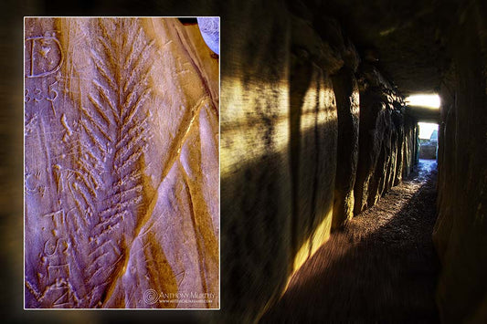 A carving from the chamber of Newgrange - wheat ear, salmon bones or fern frond?