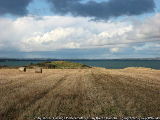 Super-port move away from Neolithic tomb cluster a victory for archaeological conservation