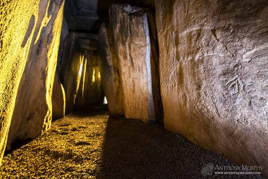 Adult male buried in Newgrange was part of a "ruling social elite", major study finds