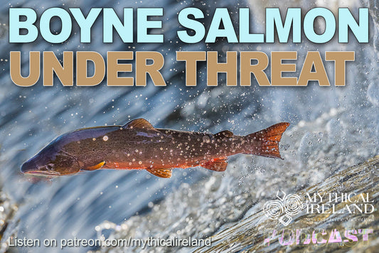NEW PODCAST: Boyne salmon crisis as numbers collapse