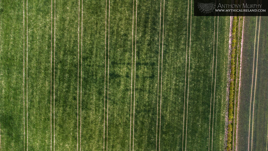 Another cropmark discovery at Newgrange Farm: Gateway to another world