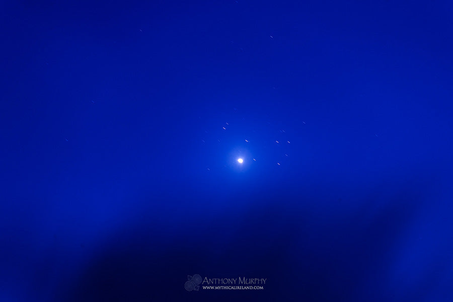 Venus among the Pleiades
