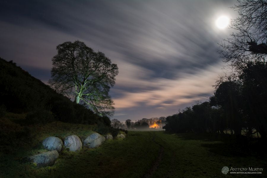 Dowth and its great sycamore tree and kerb stones under the light of a winter full moon.