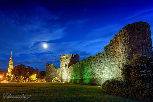 Trim Castle and St. Patrick's Church under moon