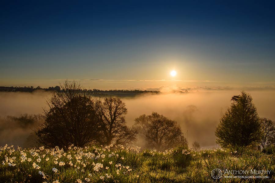 Newgrange through mist from Rosnaree
