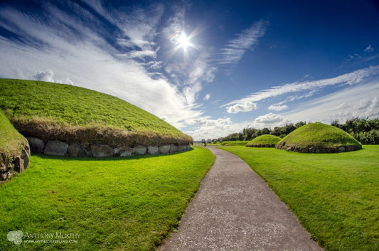 The pathway leads visitors among the ancient ruins of Knowth and its satellite mounds.