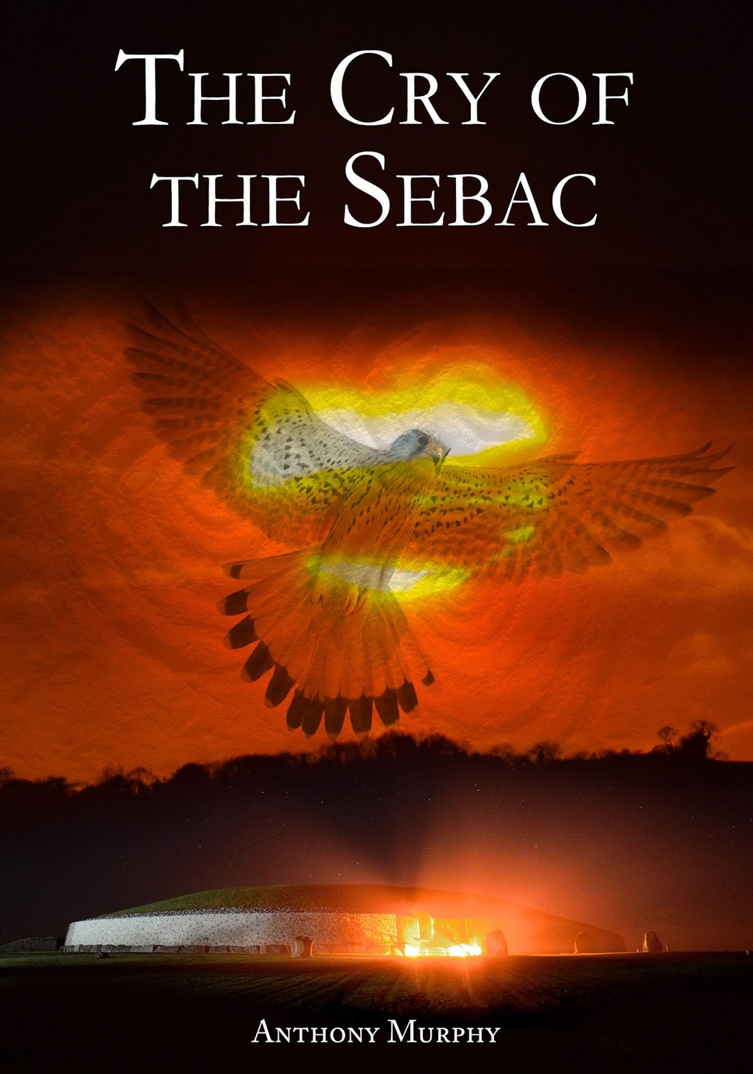 My new novel 'The Cry of the Sebac' has just been published for Amazon Kindle