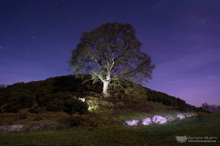 Dowth Rocks Dowth: The Botched Excavations of 1847-48 – Mythical Ireland
