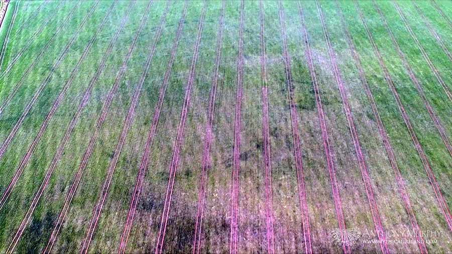 Video: Dronehenge and other archaeology visible again at Newgrange Farm