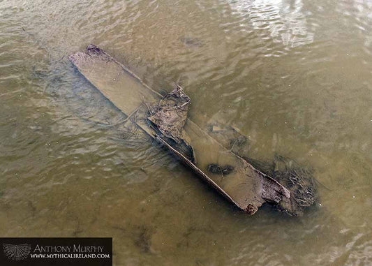 Spotted by drone: an ancient logboat in the river Boyne at Drogheda