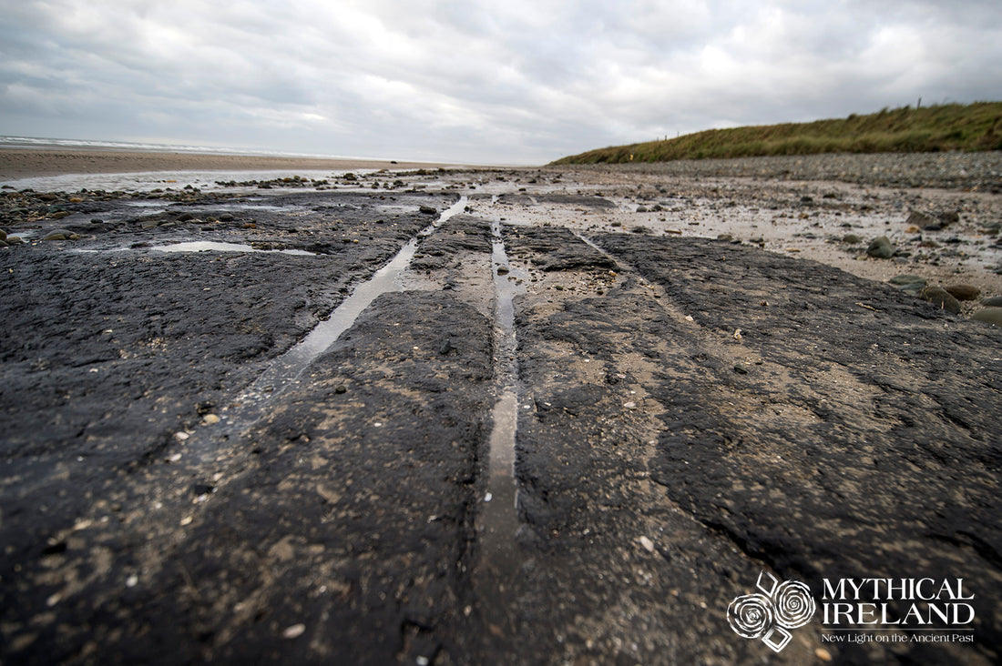 Strange tracks revealed by storm in ancient bog at Irish beach