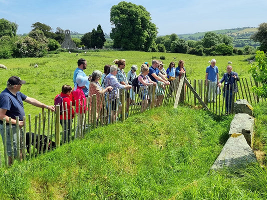 Summer evening tour of Dowth 12th June