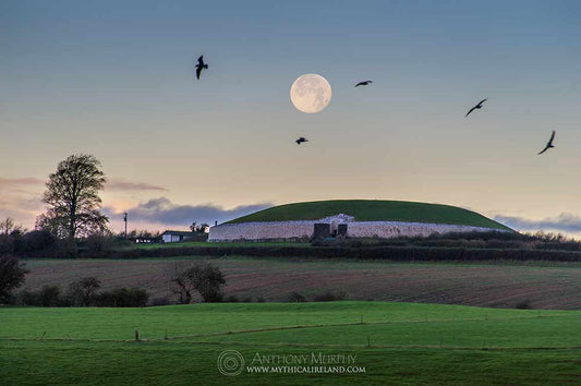 Moon and curlews over Newgrange